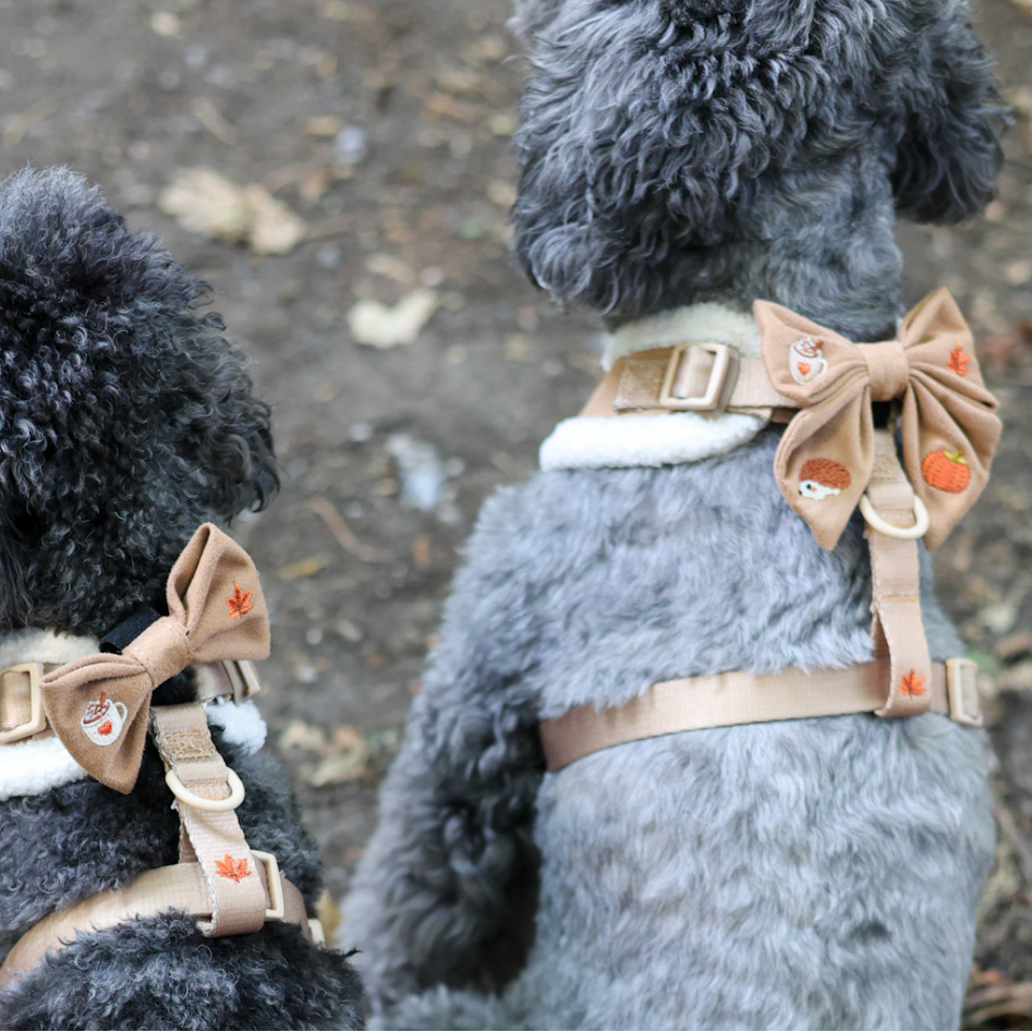 Two gray dogs viewed from behind wearing matching tan dog harnesses with large bow details and small embroidered motifs, outdoors on a dirt ground.
