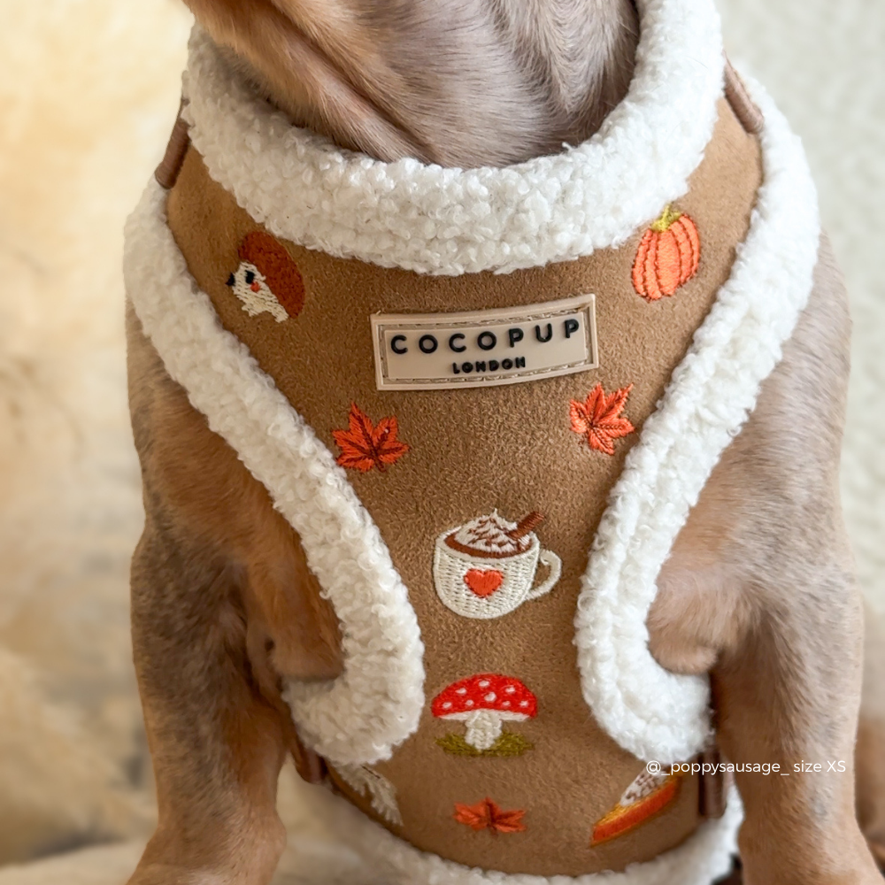 A close-up of a dog wearing a tan and white trim harness with autumn-themed embroidered details including a pumpkin, mushroom, coffee cup, and leaves. The brand label reads 'COCOPUP LONDON'.