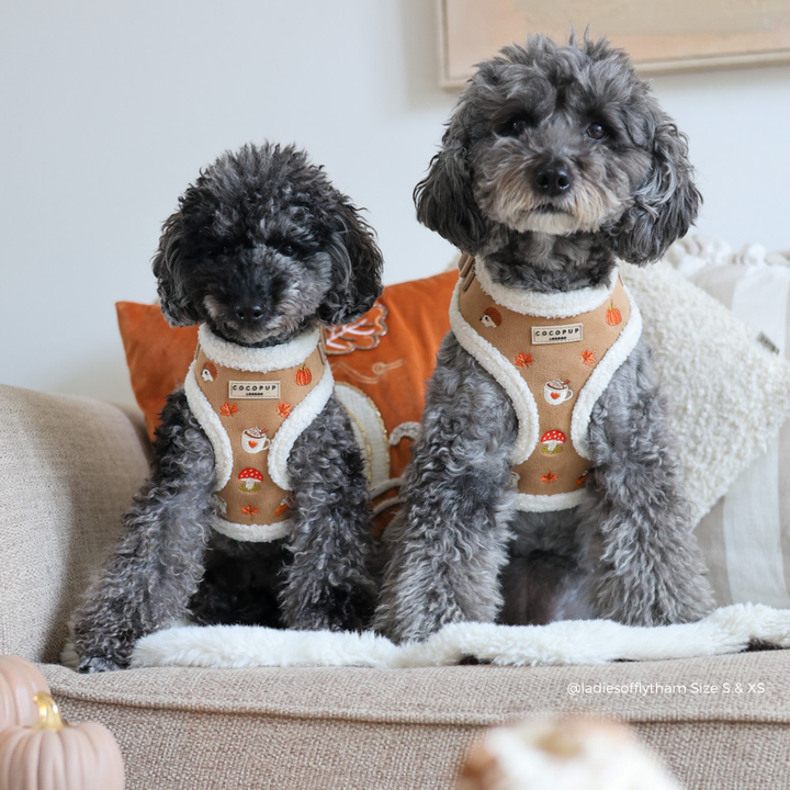 two black fluffy dogs wearing a tan and white trim harness with autumn-themed embroidered details including a pumpkin, mushroom, coffee cup, and leaves. The brand label reads 'COCOPUP LONDON'.