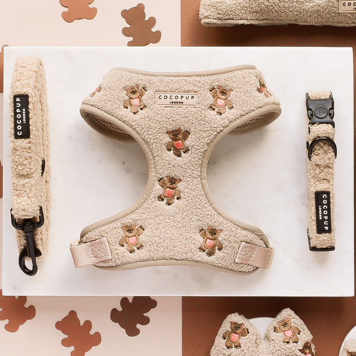 Theo Embroidered Teddy Adjustable Neck Harness, Lead & Collar Bundle