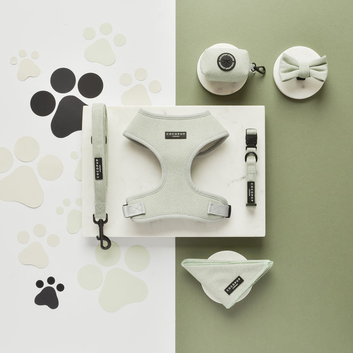 A flat-lay photo featuring the Sage Tweed Collection by Cocopup London, showcasing sage green dog accessories including a harness, the Sage Tweed Lead, collar, bow tie, waste bag holder, and bandana arranged on a green and white paw print patterned background.