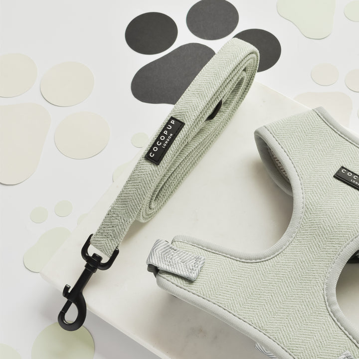 Image featuring a light gray herringbone dog harness and the Sage Tweed Lead from Cocopup London on a white surface, both branded with "COCOPUP London" labels. The background includes scattered abstract circular shapes in various shades of gray and beige.