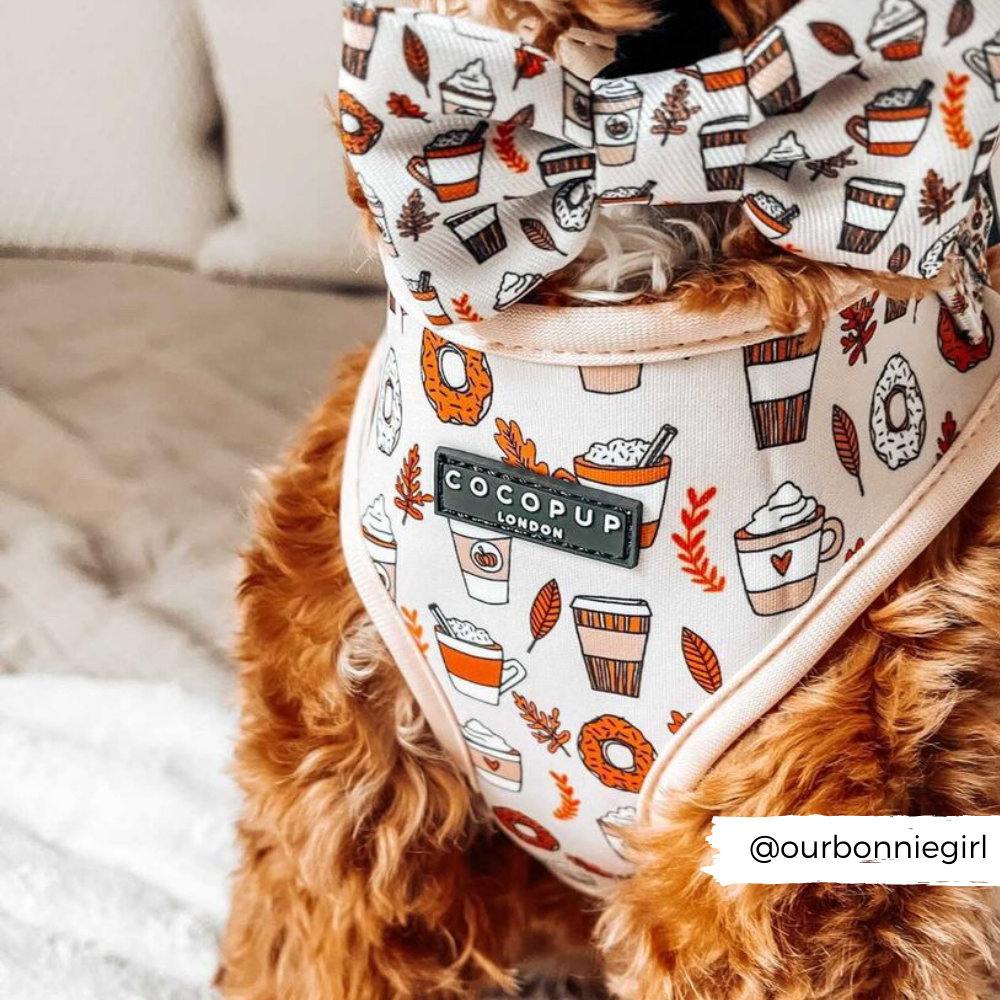 Autumn Puppuccino Adjustable Neck Harness